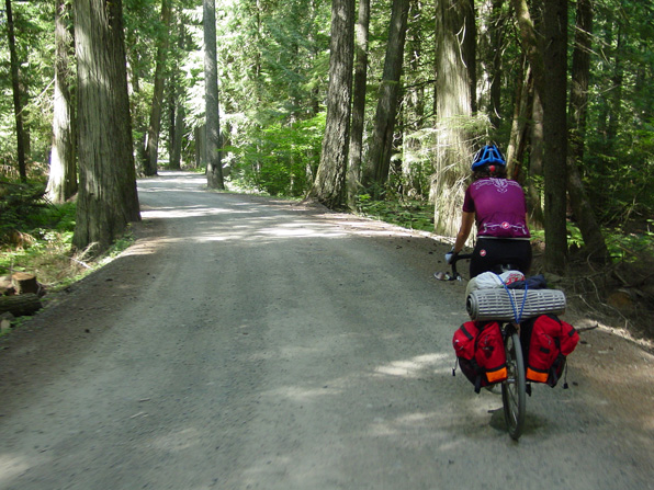 Sumallo Grove in Manning Provincial Park