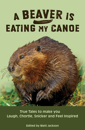 A Beaver Is Eating My Canoe