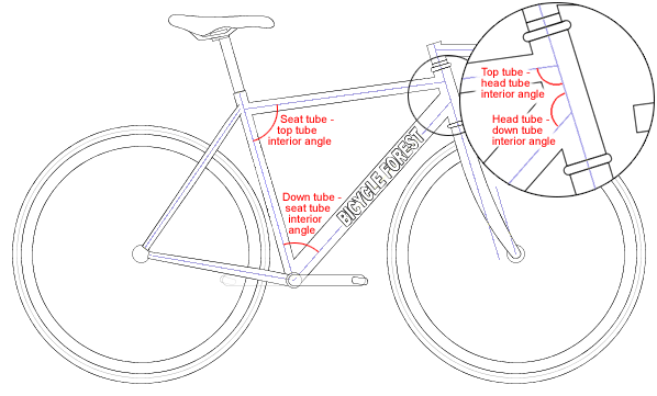 Interior Angles