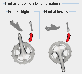 Foot and crank relative positions