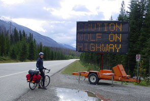 CAUTION WOLF ON HIGHWAY. NO STOPPING