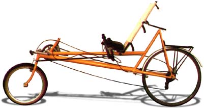 LWB recumbent by Marvin Penner