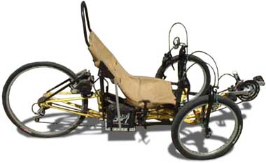 Homebuilt trike