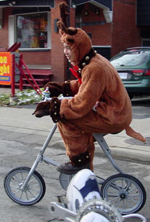 Reindeer in parade