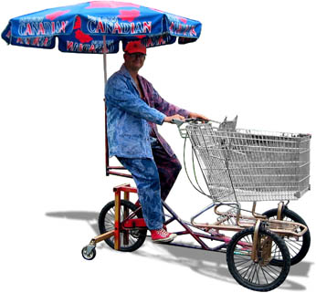 Shopping cart bicycle