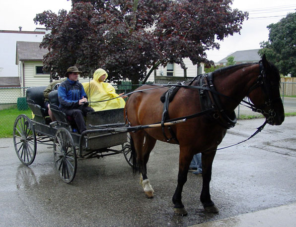 Boaz rides a Mennonite buggy